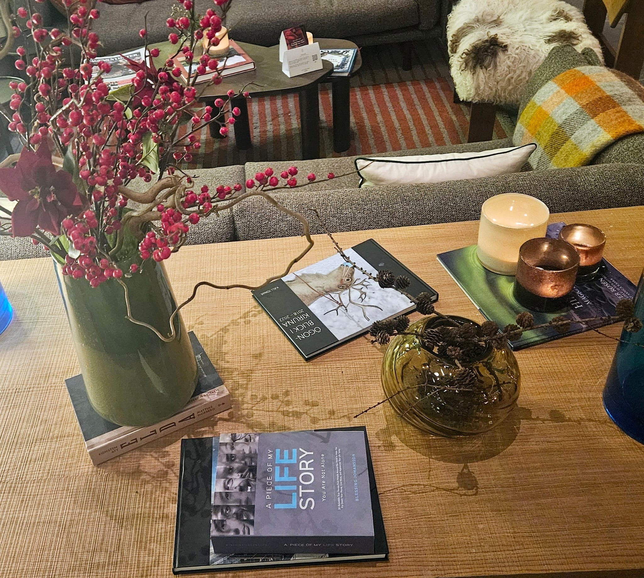 Blessing Johansson - Professional Portrait 8